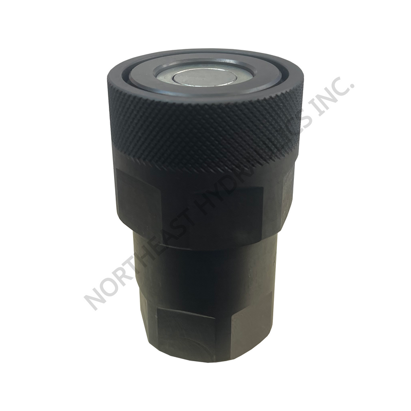 5/8" Female Body x 3/4" Female SAE - F. VEP15HD 3/4 SAE (808104010)